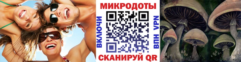 Галлюциногенные грибы прущие грибы  закладка  Киреевск 