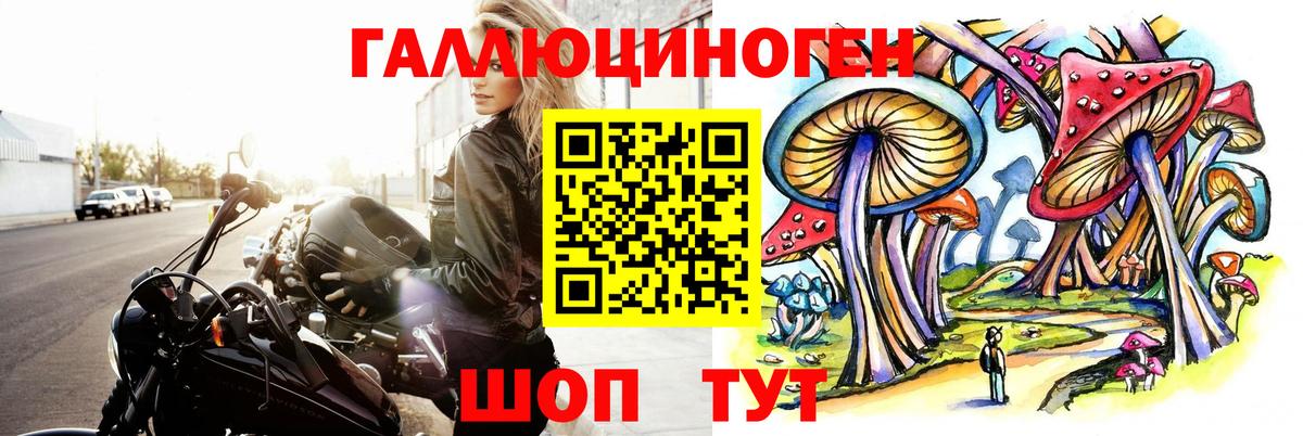 Галлюциногенные грибы GOLDEN TEACHER  Вход с VPN  Киреевск 